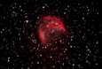ふたご座のメデューサ星雲.jpg
